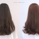 데일리브라운 이미지