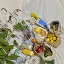 희현농장 이미지