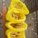 여성회관뒤 이미지