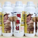 (주)플랜씨야 이미지