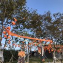 동일농원 이미지