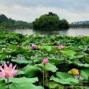 와우호수공원 이미지