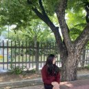 나로도가스 이미지
