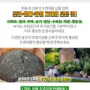 선화조경