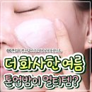 시쓰리(C3) | 올 여름 이거 하나로 뽕뽑았쥬!