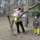 새롬유치원 이미지