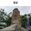 금산 인삼관 Daum카페