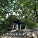 국수나무 진도점 | [용인] 용인 가볼만한곳 하면 바로 한국민속촌, 가격 할인 및 야간개장 후기