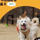 강아지숲 박물관 이미지