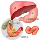 아버지 췌장암으로 돌아가시기까지 쓴 이야기 이미지