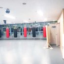 불스복싱 이미지