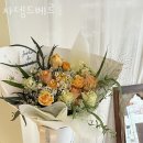 자뎅드베르