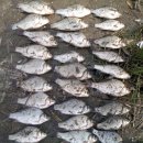 대박터진날 이미지