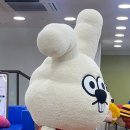 모모아일랜드