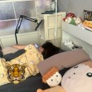 베낌터