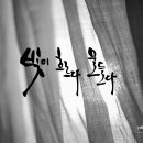 빛이물들다