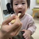 3043 | 시판이유식추천, 영양가득 베베쿡 중기이유식(추천인 bm3043)