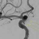 센텀종합정비 이미지