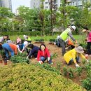 상일1동주민센터 이미지