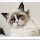 아이조아 요양보호소 서울점 이미지