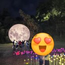 공산성 | 공주 공산성 미디어 아트 후기+밤마을 파이 후기