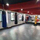 S복싱스쿨 이미지