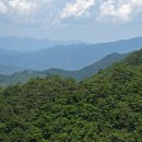 산길 이미지