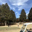 그린장앞골2교 | 일본골프여행 구마모토 골프장 트라이얼 아소cc 힐링 라운딩 후기 ⛳️