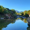 진원반디길마을 영농조합법인 이미지