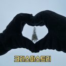 호수파출소 | 삿포로 비에이투어 추천 투어비스 크리스마스 트리 후기