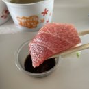 김수진참치