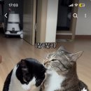 춘봉