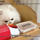 와락 네이버블로그