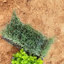 공북2리경로당 이미지