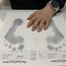 굿피트 코리아 제1사업본부 이미지