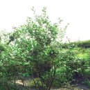 장재농장 이미지