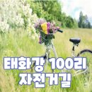 두광중학교 | 태화강 100리 자전거길 울산ktx역까지 라이딩 후기