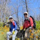 Exploration Trail 05-16-2026 이미지