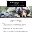 김고은그루밍# 이미지