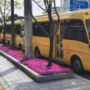 (버스)시청앞 이미지