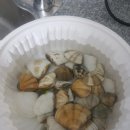 용화해변펜션 이미지