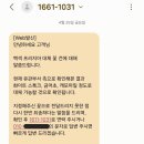 웨딩 촬영 D-1 꾸까 셀프 부케 만들기 솔직 후기