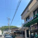 한국교통장애인협회 영주시지회 이미지