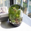 에이스스토어 주식회사 | 중국 비바리움 용품 수입, 사육장부터 인증까지 실제 진행 후기