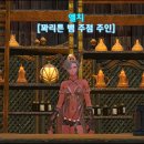 태양의 축제 이미지