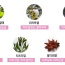 지아이퍼스트 이미지