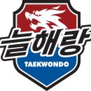 늘해랑태권도장 이미지