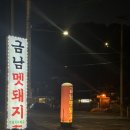 남양주 금남멧돼지 야외 바베큐 후기