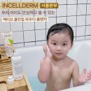 인셀덤매니아