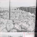 제2차 세계대전과 한반도 (디펜스코리아 동시 올림) 이미지
